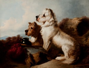 Two dogs guarding the fish